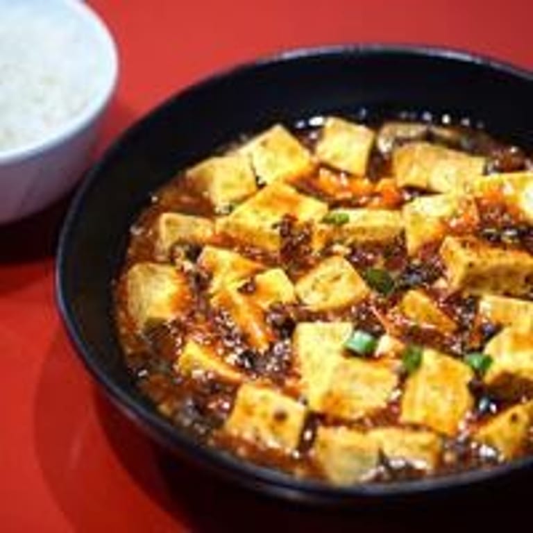 Spice Up Your Meal with Mapo Tofu