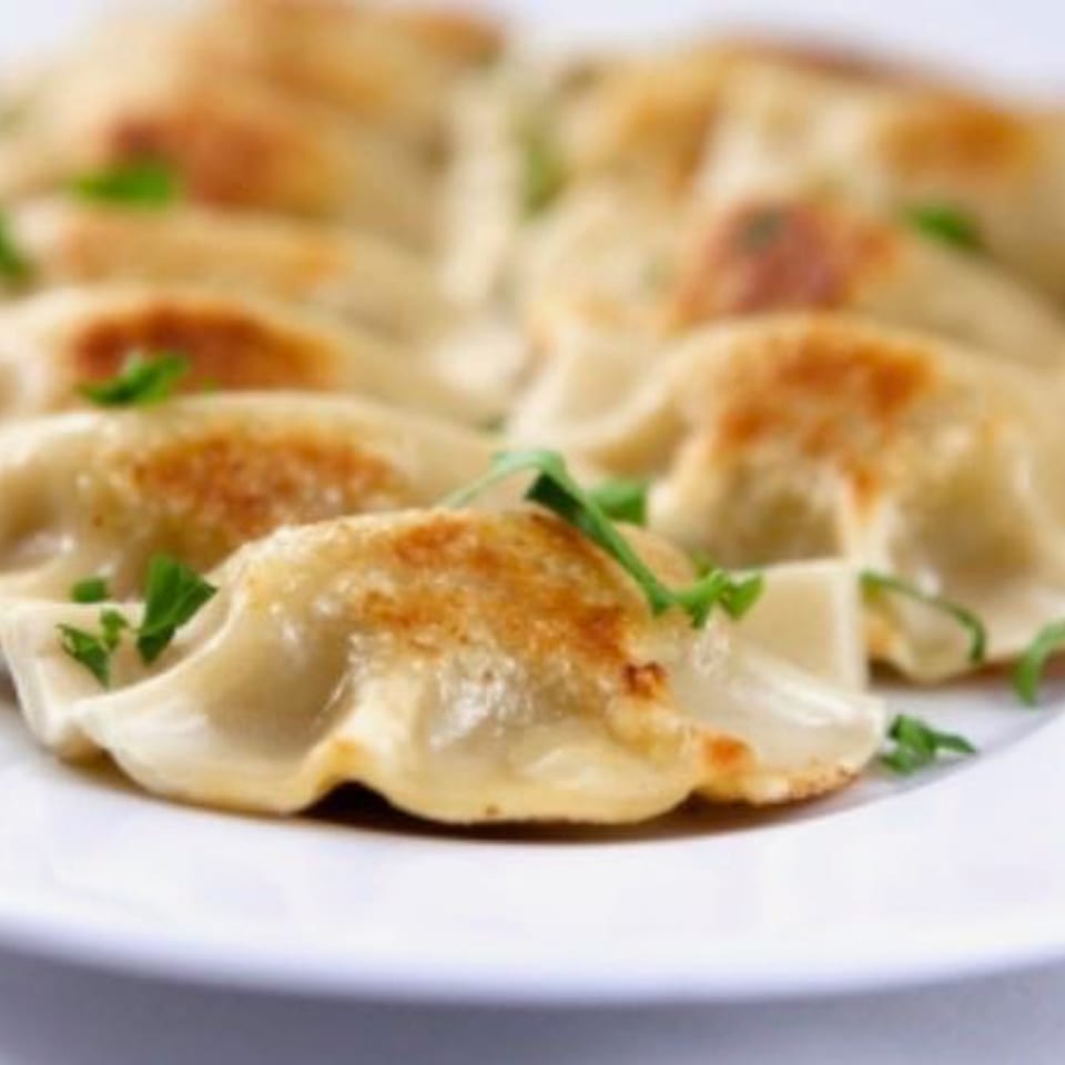 Close-up of pan-fried dumplings, garnished with fresh herbs, on a white plate at Red Lotus Noodle House.
